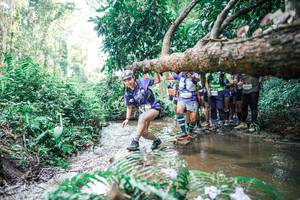 BIB: 
                            <button type="button" onclick="openModal(25470390)" class="btn btn-primary btn-sm float-right btn-popup" data-toggle="modal" data-target=".modal-high-quality">
                        <i class="fas fa-shopping-cart"></i> Add to Cart
                    </button>
                                            <button type="button" onclick="isThisMe(25470390, true)" class="btn btn-success btn-sm float-right btn-popup btn-isme hidden" data-toggle="tooltip" data-placement="bottom" title="นี่คือรูปของคุณใช่ไหม คลิกที่นี่เพื่อเอาเข้าอัลบั้ม">
                        <i class="fas fa-plus"></i> Add to album
                    </button>
                    <button type="button" onclick="isThisMe(25470390, false)" class="btn btn-warning btn-sm float-right btn-popup btn-isnotme hidden">
                        <i class="fas fa-ban"></i> Remove from album
                    </button>